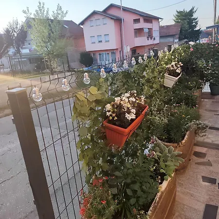 Apartman Sokak *
