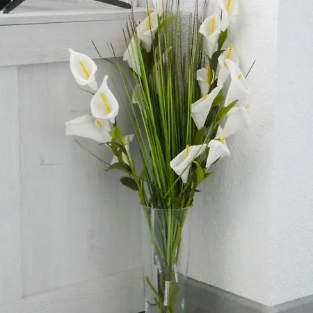 Apartamento Sokak *